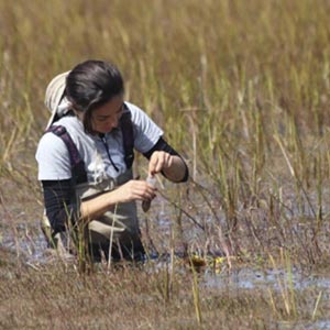 Tatiana Lobato de Magalhâes