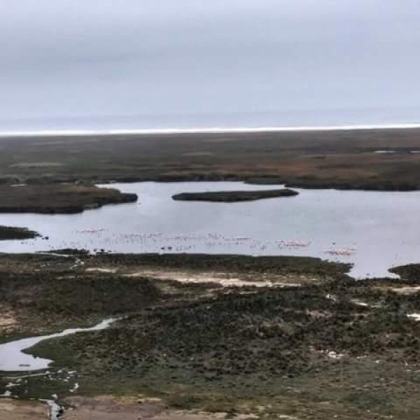 FB_IMG_1509510072574