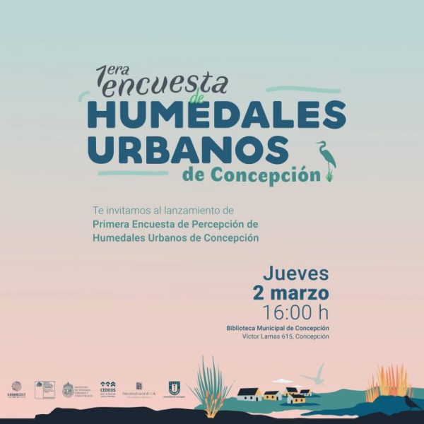 Instagram-0-scaled-768x768