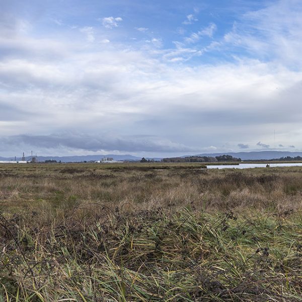 img_urbancost_panoramica_01