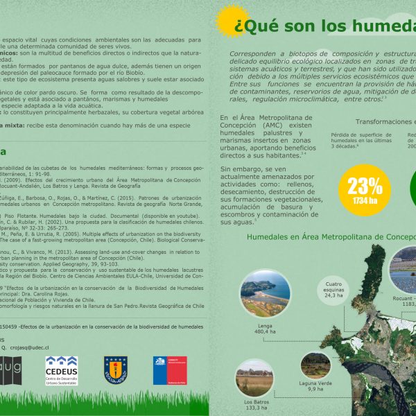 pagina 1_ infografia
